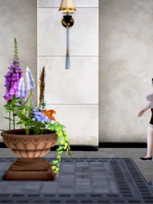 [3D][小星星] 人妻淫记 1-75+人物介绍（完结）_9101