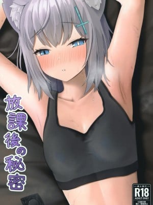 [ティアノブルー] 放課後の秘密 (ブルーアーカイブ) [DL版]