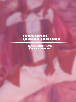 [もちもちファクトリー (わかもち太)] 妖精騎士トリスタンにいじわるする本 (Fate Grand Order) [黎欧出资汉化]_2022_046