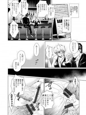 [日陰ひなた] 女畜 アナル淫虐崩壊_033
