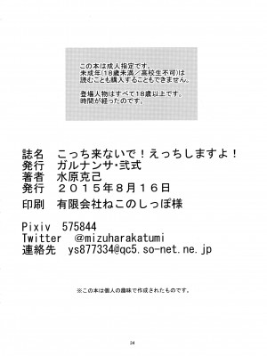 (C88) [ガルナンサ・弐式 (水原克己)] こっち来ないで!えっちしますよ! (アイベストガル ミリオンライブ!)_33