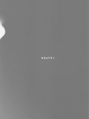 (C100) [ROUTE1 (平つくね)] 君は奴隷。 (ドラゴンクエスト ダイの大冒険) [中国翻訳]_41