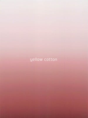 [yellowcotton] 佐倉家は壊れました。 (MAJOR)_28