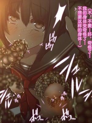 触手中毒 ～変態触手に快楽洗脳されて狂気に堕ちてゆく少女～ [真不可视汉化组]_024