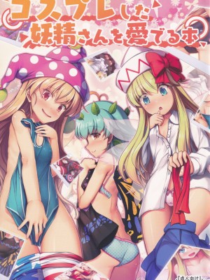 [あばらんち (チマQ)] コスプレした妖精さんを愛でる本 (東方Project)
