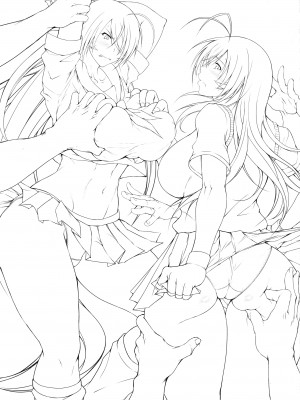 (C91) [姫玖屋 (樹村ナオキ)] 蕩千の宴 (一騎当千) [不咕鸟汉化组]_02