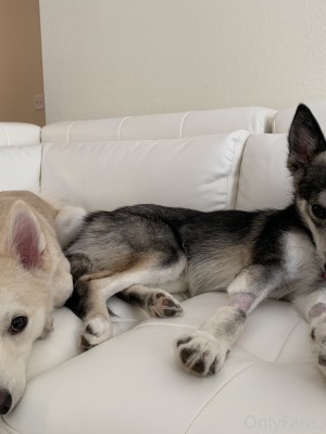Luna Benna_2020-02-27 23682915-I FINALLY got my Boys ba_@society0 telegram Megaonlyfanss Reddit_