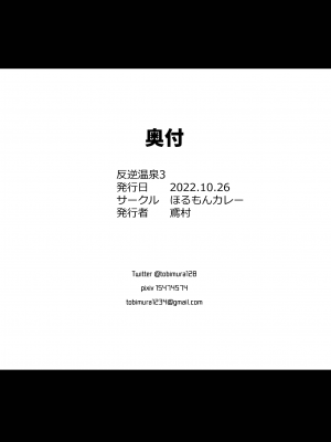 [ほるもんカレー (鳶村)] 反逆溫泉3 (少女前線) [DL版]_29