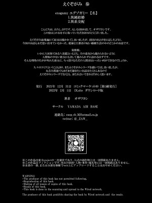 [YAMADA AIR BASE (オザワヨシ)] えぐぞがみ3 (東方Project) [DL版]_17