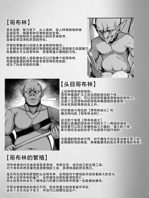(同人誌) [ZIGZAG (Hirno)] ELFIN QUEST #ゴブリン敗北編 (オリジナル) [DL版] [中国翻訳]_36