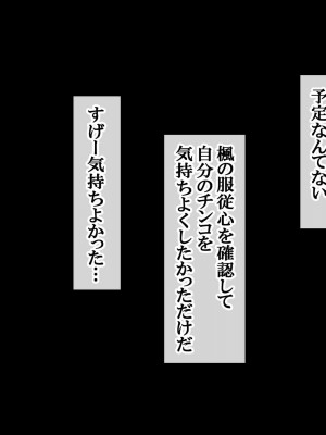 [青水庵 (四万十川 、にやすけ)] デリヘルでみつけたドM天使 2_641