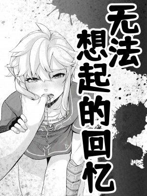 [Amakasas (ONP)] 思い出してはいけない記憶 (ゼルダの伝説) [逃亡者×真不可视汉化组]_02