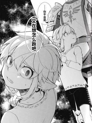 [Amakasas (ONP)] 思い出してはいけない記憶 (ゼルダの伝説) [逃亡者×真不可视汉化组]_50