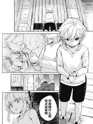 [Amakasas (ONP)] 思い出してはいけない記憶 (ゼルダの伝説) [逃亡者×真不可视汉化组]_49