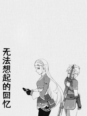[Amakasas (ONP)] 思い出してはいけない記憶 (ゼルダの伝説) [逃亡者×真不可视汉化组]_21