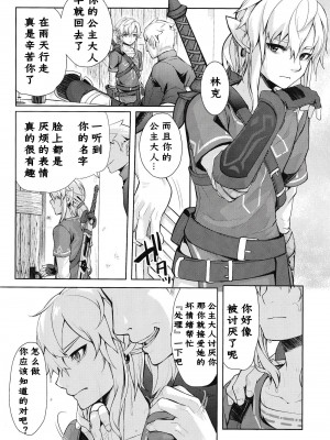 [Amakasas (ONP)] 思い出してはいけない記憶 (ゼルダの伝説) [逃亡者×真不可视汉化组]_23