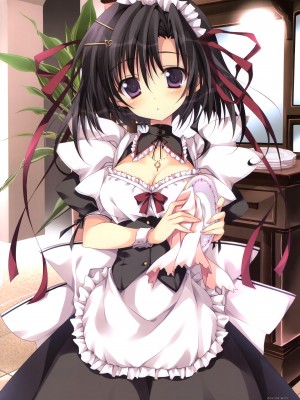 [ななろば華] Shining Showtime ななろば華 Art WORKS_069