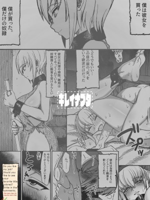 [キレイナブタ (ぶたちゃんぐ)] 異世界の女たち3.0 [DL版]_23