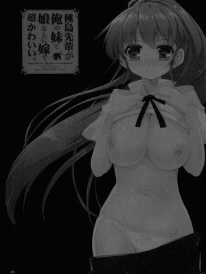 (C78) [65535あべぬー。 (赤人)] 種島先輩が俺の妹で娘な上に嫁で超かわいい。(WORKING!!) [一只麻利的鸽子汉化x甜族星人出资]_20