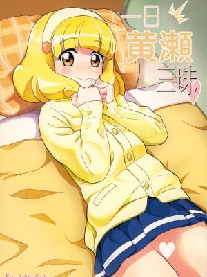 [D-baird (Beなんとか)] 一日黄瀬三昧 (スマイルプリキュア)