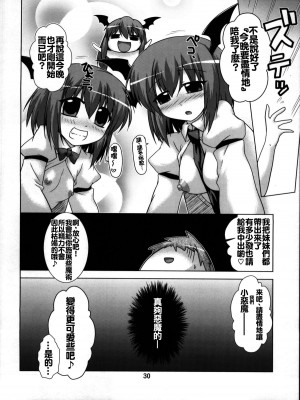 [oo君個人漢化] (例大祭8) [CUNICULUS (ヨシタマ)] 名も無き愛の唄 大妖精・小悪魔編 (東方Project)_29