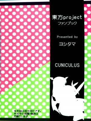 [oo君個人漢化] (例大祭8) [CUNICULUS (ヨシタマ)] 名も無き愛の唄 大妖精・小悪魔編 (東方Project)_34