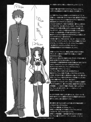 [琉璃神社汉化] (COMIC1☆6) [FRAC (もとみやみつき)] プレイジングストレイシープ (Fate／Zero)_25