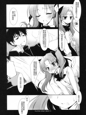 [琉璃神社汉化] (COMIC1☆6) [FRAC (もとみやみつき)] プレイジングストレイシープ (Fate／Zero)_12