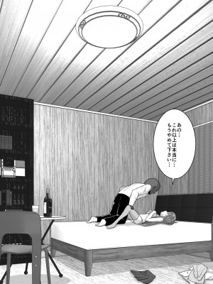 [アトリエフジミヤ (フジミヤ子龍)] 堕ちる閃光 Ver.E (ソードアート・オンライン)_028