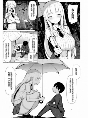 [ふらいでぃっしゅ (じゃっこ)] お嬢様に買われたボク [DL版] [不可视汉化]_27