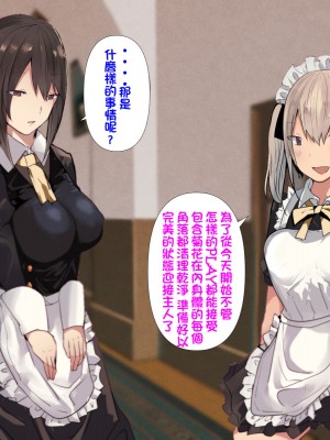 [あむあむタイガー] 淫乱むちむちメイド姉妹の他人棒からたっぷり種付けお仕事事情 [柊個人漢化]_009