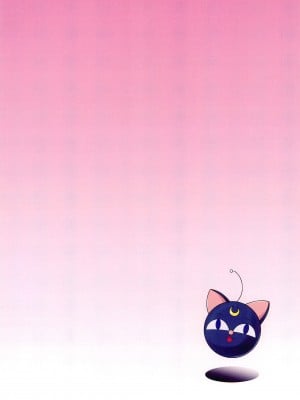 (C101) [COUNTER ATTACK (逆襲武士)] PINK SUGAR Ver.2022 (セーラームーン)_04