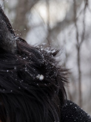 Nonsummerjack - Timber wolf_026 (T.ME-COSPLAYSETS)