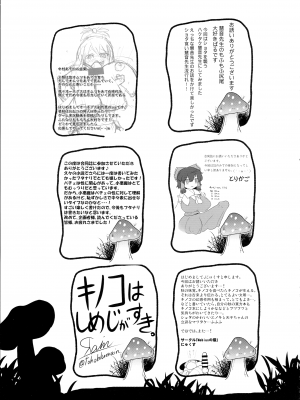 (紅楼夢18) [ぬいぐるみやさん (よろず)] 東方おちんぽ生えちゃった合同誌 (東方Project)_260