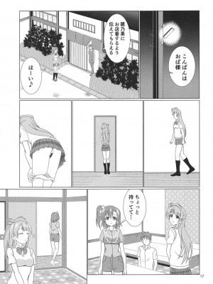 (C94) [MagicalFlight (十畳たたみ)] 引き裂くことり (ラブライブ！)_16