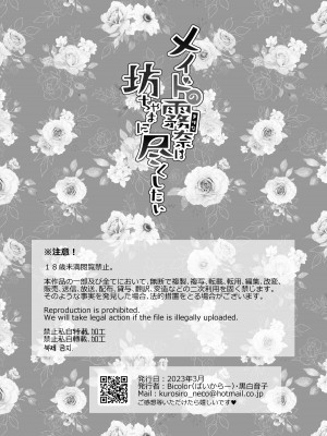 [Bicolor (黒白音子)] メイドの霧奈は坊ちゃまに尽くしたい [中国翻訳] [DL版]_41