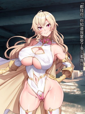 [ヒロピンlab (鉄球)] JusticeBattler Proudia [中国翻訳]_024