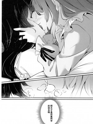 (惹き合う運命6th) [台北人 (虫原)] あなたに私を (アサルトリリィ) [中国翻訳]_12