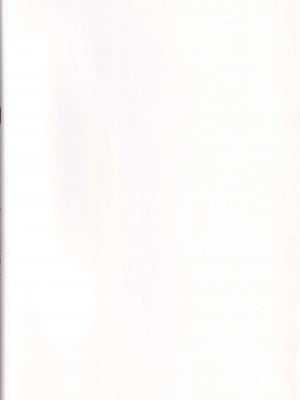 (C91) [関西漁業協同組合 (丸新)] ヤらせて! ありさ(仮名)ちゃん _風俗実体験録__02