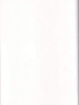 (C91) [関西漁業協同組合 (丸新)] ヤらせて! ありさ(仮名)ちゃん _風俗実体験録__31