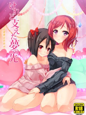 (C87) [すにぃる (シュウリン)] けれど支えた夢の先 (ラブライブ!)