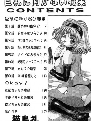 [猫島礼] 巨乳に向かない職業 [中漫]_003