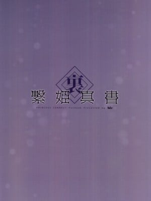 (C97) [hlz (鎖ノム)] 裏・繋姫真書 (プリンセスコネクト!Re：Dive) [影子van个人汉化]_12
