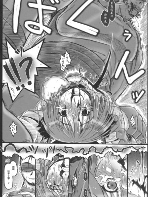 (C79) [暗黒暴走組 (アイヌマニア)] 縺レ火解キシ炎 非運ノ夢、繋ギ (東方Project) [中国翻訳]_29