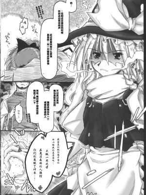 (C79) [暗黒暴走組 (アイヌマニア)] 縺レ火解キシ炎 非運ノ夢、繋ギ (東方Project) [中国翻訳]_42