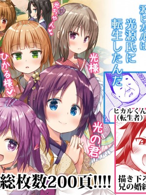 (C101)[ノラネコノタマ (雪野みなと)] 光の君のさがなき計画 ＜総集編＞_001