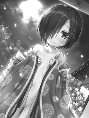 (C101)[ノラネコノタマ (雪野みなと)] 光の君のさがなき計画 ＜総集編＞_046