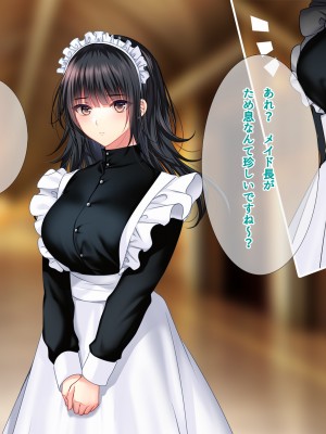 [南浜屋 (南浜よりこ)] 非モテでもメイドを孕ませたい!_351_30_02
