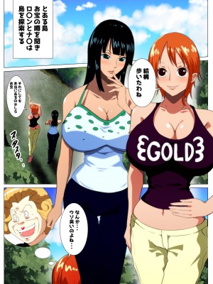 [Q同人]  爆乳女海賊達のお宝探し (ワンピース)_02