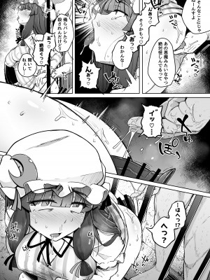 [自家発電処 (flanvia)] 穴とむっつりどすけべだいとしょかん 5 (東方Project) [DL版]_08
